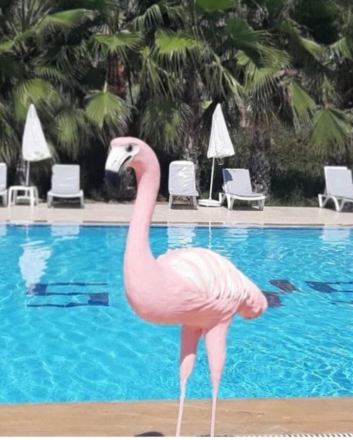 Skys Beach Hotel Manavgat Luaran gambar